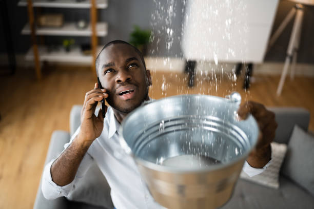 Best 24-hour water damage restoration  in Bountiful, UT