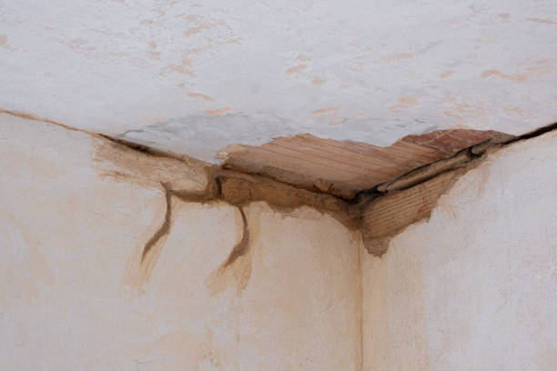 Best 24/7 water damage repair  in Bountiful, UT