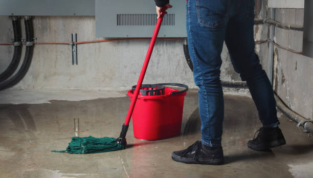 Best 24-hour water damage restoration  in Bountiful, UT
