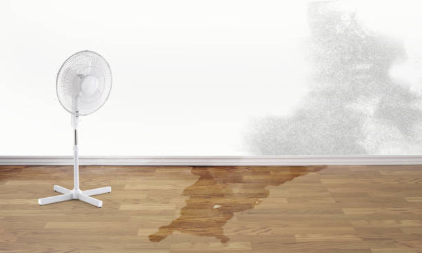 Best Commercial water damage restoration  in Bountiful, UT