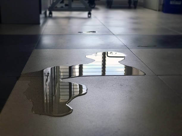 Best Water damage contractors near me  in Bountiful, UT