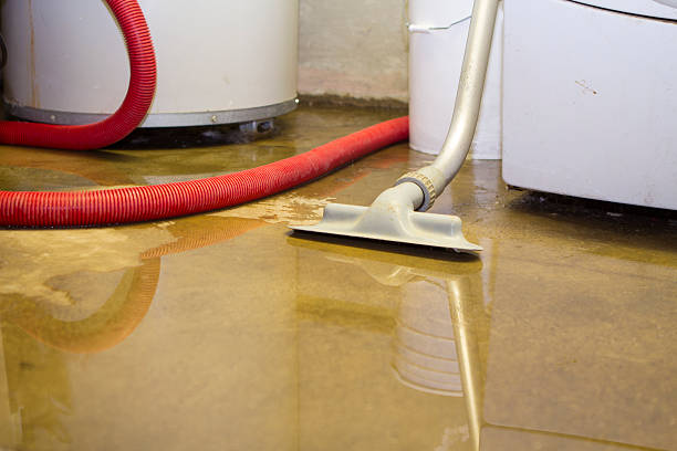 Best Commercial water damage restoration  in Bountiful, UT