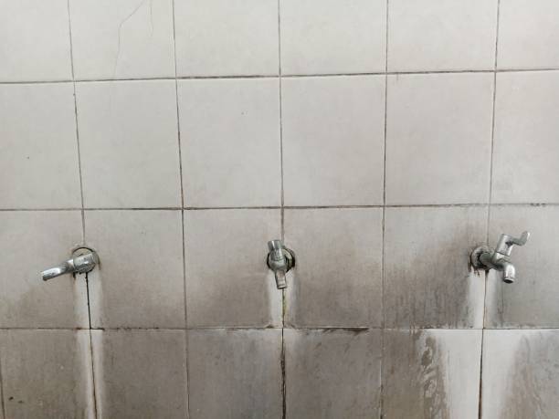 Best Flood damage cleanup  in Bountiful, UT