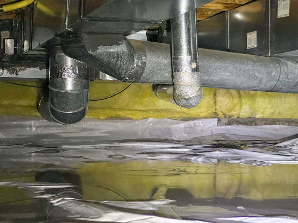 Best Water damage restoration cost  in Bountiful, UT