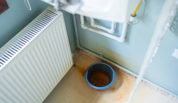 Best Emergency water extraction  in Bountiful, UT