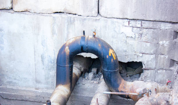 Best Mold removal after water damage  in Bountiful, UT