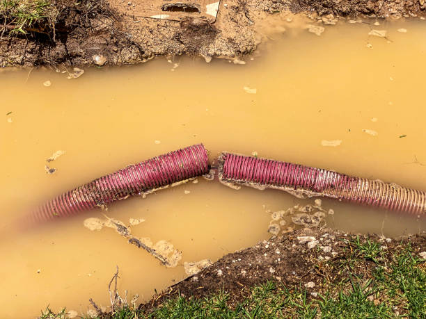 Best Water damage restoration near me  in Bountiful, UT