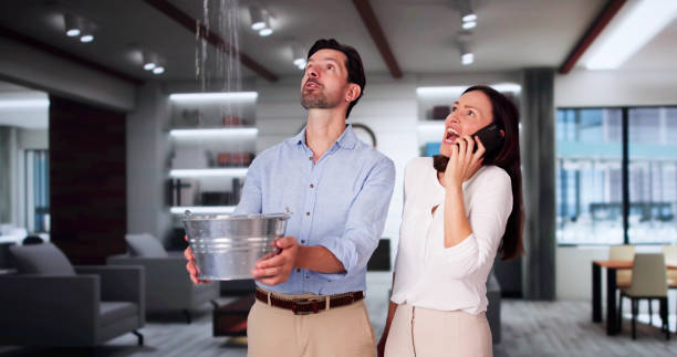 Best Water damage restoration cost  in Bountiful, UT
