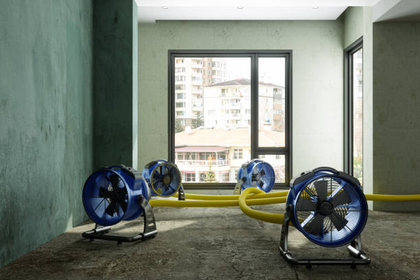 Best Sewage cleanup and water damage restoration  in Bountiful, UT
