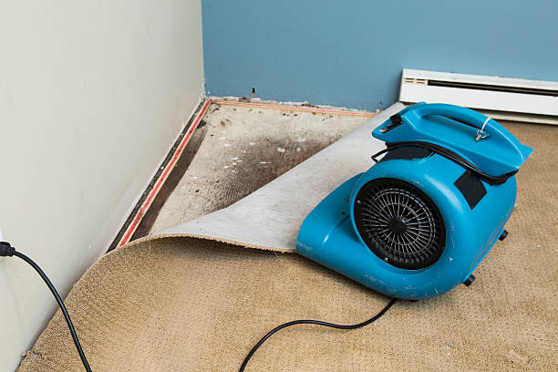 Best Emergency water damage restoration  in Bountiful, UT