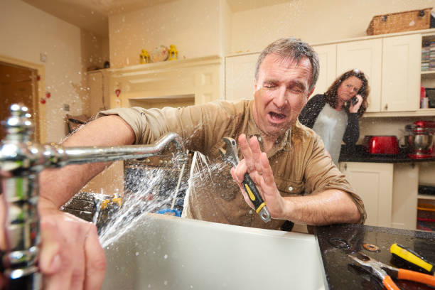 Best Carpet water damage restoration  in Bountiful, UT